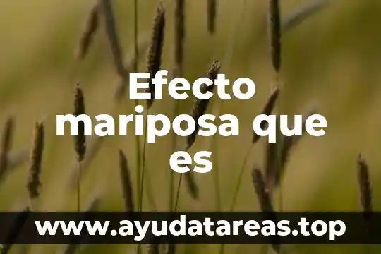 Efecto warburg que es 5 Efecto mariposa que es