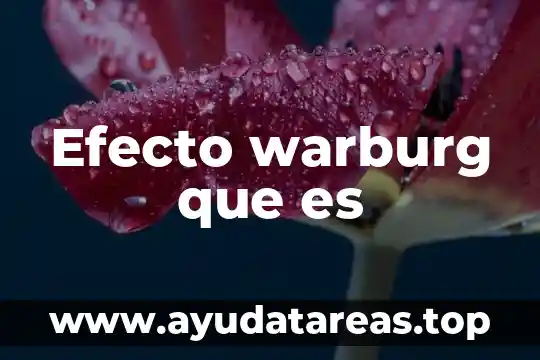 Efecto mariposa que es 4 Efecto warburg que es