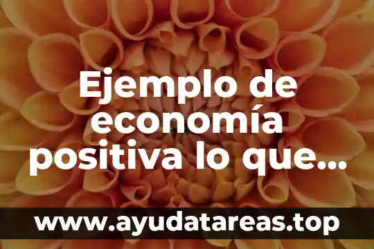 Ejemplo de economía positiva lo que es