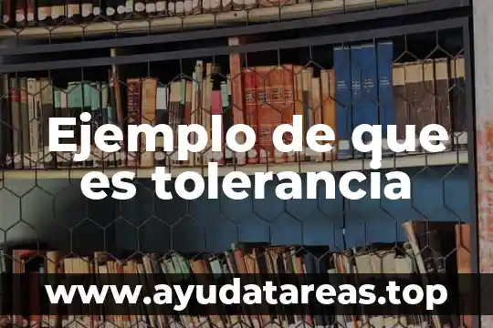 Ejemplo de que es tolerancia