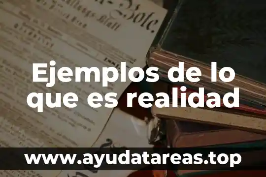 Ejemplos de lo que es realidad