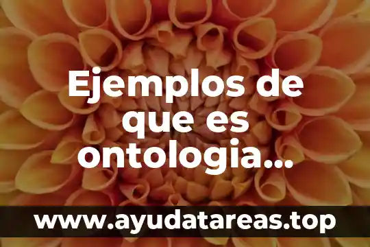 Ejemplos de que es ontologia epistemologia y metodologia