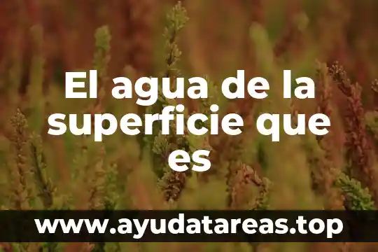 Que es la eficiencia del agua en una construcción 3 El agua de la superficie que es