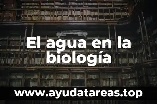 Heterogeneas y homogeneas que es el alcol con agua 3 El agua en la biología