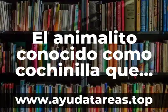 El animalito conocido como cochinilla que es