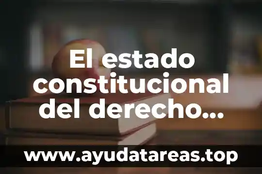 El estado constitucional del derecho que es