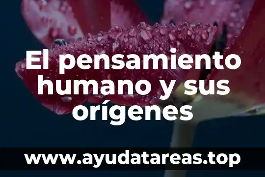 Que es el ser humano eticamente 4 El pensamiento humano y sus orígenes