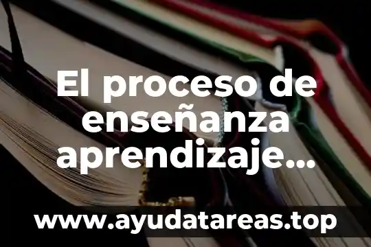 El proceso de enseñanza aprendizaje que es