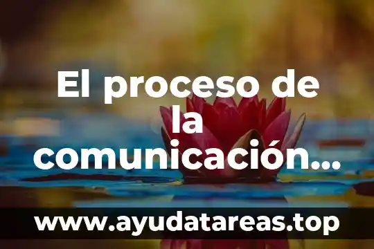 Que es el proceso de apropiacion 7 El proceso de la comunicación que es