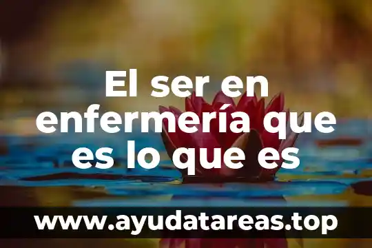 Qué es PIP en enfermería 4 El ser en enfermería que es lo que es