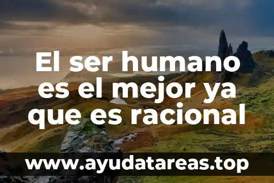 Qué es un número racional y irracional 7 El ser humano es el mejor ya que es racional