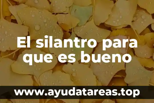 El silantro para que es bueno