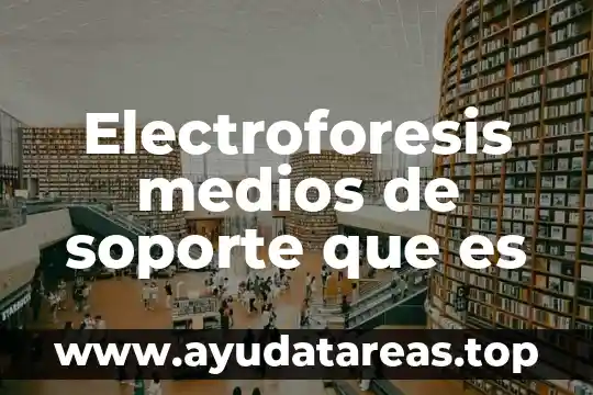 Electroforesis medios de soporte que es
