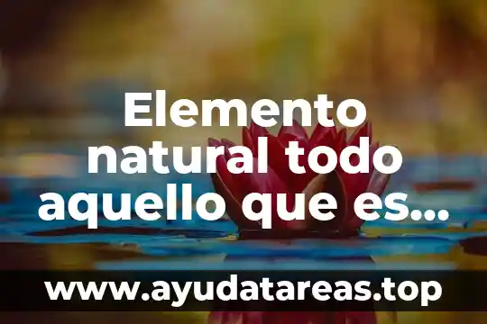 Con este nombre designamos todo aquello que es posible conocer 3 Elemento natural todo aquello que es sujeto de explotación