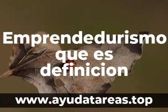 Emprendedurismo que es definicion