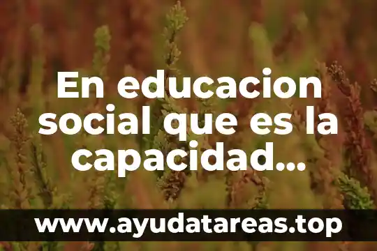 Que es educacion fisica significado y concepto 8 En educacion social que es la capacidad proyectiva