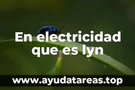 En electricidad que es lyn