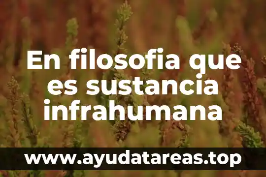 Que es una sustancia simple ejemplos 5 En filosofia que es sustancia infrahumana