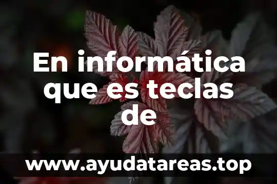 Que es re significado informatica 8 En informática que es teclas de