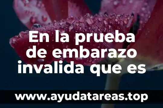 Que es la prueba de declaración de parte 3 En la prueba de embarazo invalida que es