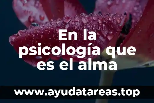 Que es espectro en terminos de psicologia 4 En la psicología que es el alma