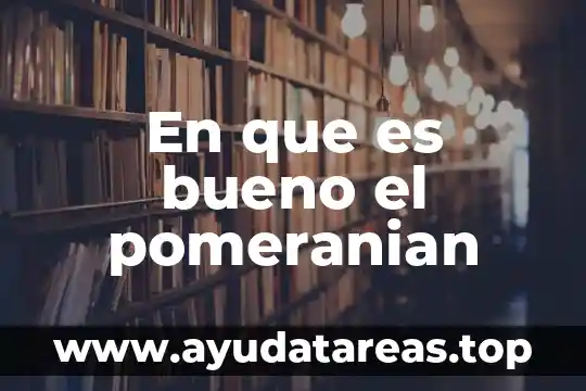 Que es bueno para dormir profundamente 5 En que es bueno el pomeranian