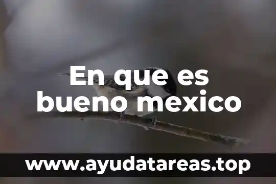 Qué es bueno para la tos con flema para bebés 6 En que es bueno mexico