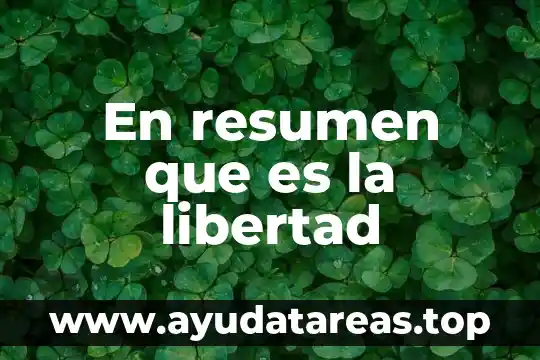 En resumen que es la libertad