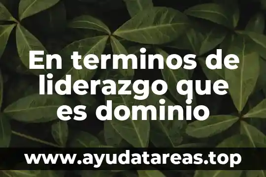 Número de términos que es 6 En terminos de liderazgo que es dominio