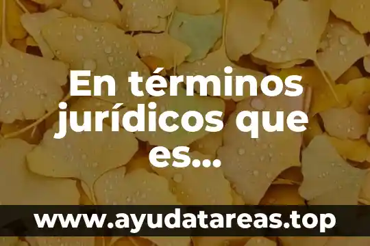 En términos jurídicos que es mesoamérica
