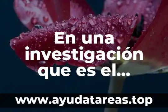 Qué es la navegador y su concepto 5 En una investigación que es el método
