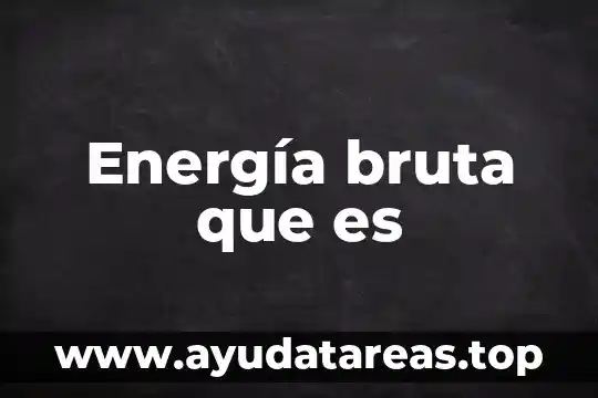 Energía bruta que es