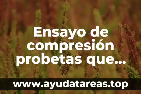 Que es una tesis dentro de un ensayo literario 5 Ensayo de compresión probetas que es