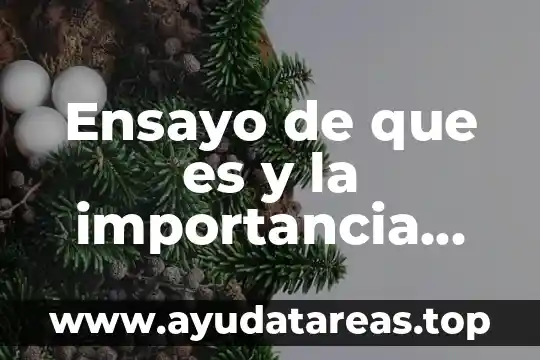 Ensayo de que es y la importancia del office