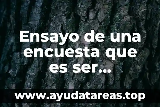 Que es ser embajador de una empresa 4 Ensayo de una encuesta que es ser mexicano