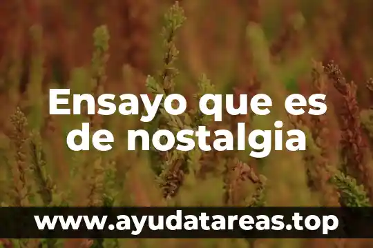 Que es un ensayo de pena de muerte 6 Ensayo que es de nostalgia