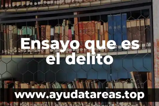 Ensayo que es el delito