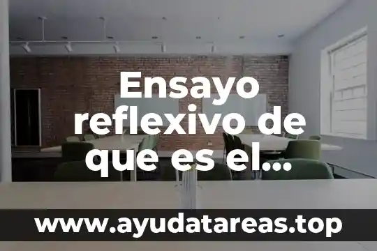 Ensayo reflexivo de que es el emprendedurismo