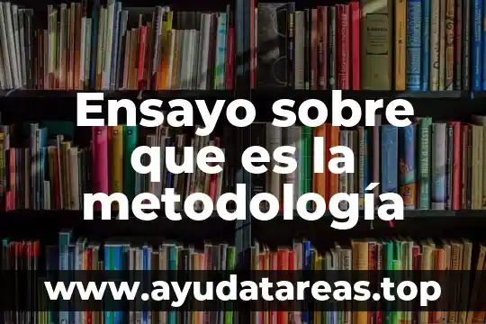 Ensayo sobre que es la metodología
