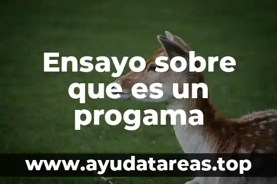 Que es justificado en un ensayo 4 Ensayo sobre que es un progama