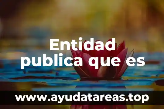 Entidad publica que es