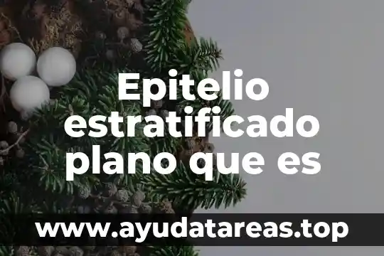 Que es plano de planta arquitectonico 3 Epitelio estratificado plano que es