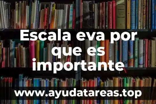 Mensaje para decirle a alguien que es importante 6 Escala eva por que es importante