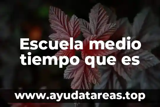 A dormir angelitos que es el tiempo de soñar 3 Escuela medio tiempo que es