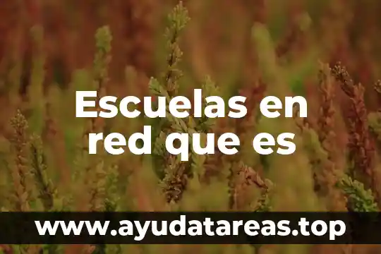 Escuelas en red que es