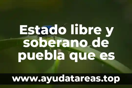 Estado libre y soberano de puebla que es