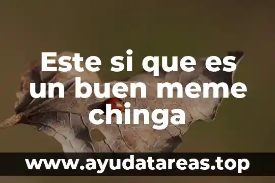 Este si que es un buen meme chinga