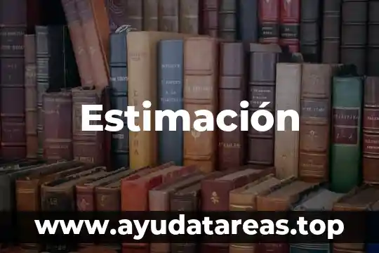 Qué es la estimación de los recursos 8 Estimación