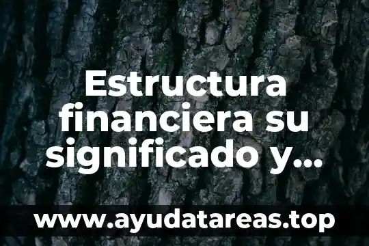 Que es engorrosos significado 8 Estructura financiera su significado y que es