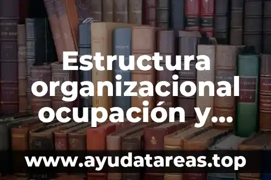 Que es la estructura y sus caracteristicas del sol 3 Estructura organizacional ocupación y salarios que es